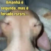 Aleatorias, tudo de bom(soqs) 13
