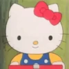 𐙚🐾Hello kitty  🎀 9