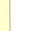 Random Bear🐻‍❄️ 7