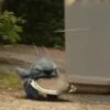 Stitch 💙 La Película 🎥 14