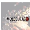 MOLÉCULAS
