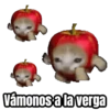 Vámonos a la verga