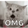 OMG