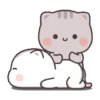 Kucing gemoyy 21