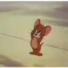 Tom e Jerry 🐈🐀 8