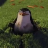 Madagascar GIFs 7