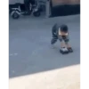 Jajaj 28