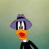 Baby 10