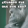🦧Monkeys🦍Monos🐒Changos 5