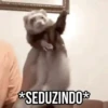GIFs Pets Fofos Memes 🐾 25