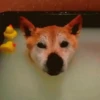 GIFs Bixins com Calor 2 🥵 9
