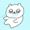 Random Bear🐻‍❄️ 6