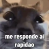 me responde aí rapidao