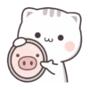 Kucing gemoy 9