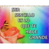 MARIPOSAS ANIMADAS 11