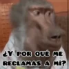 🦧Monkeys🦍Monos🐒Changos 7