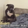 BOM DIA 🌞 13
