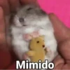 🐹Hamsters🐹 8