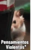 🐹Hamsters🐹 9