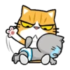 Baby Meow zhua zhua 7