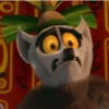 Madagascar GIFs 27
