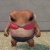 🧿Rana que Baila 🐸 6