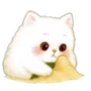 Gato Onigiri verano 🐈🍙 12