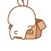 The little bunny 3 28