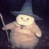 🐱 Cheeseball | The Wizard Cat 20