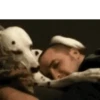 GIFs de Cachorros Reações 🐶 21