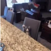 GIFs Reações Aleatórias 7 🤗 7