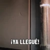 Lilo & Stitch 7