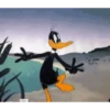 El pato lucas 30
