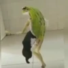 Rana saltando 🐸 17