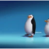 Préndelo pingüino bailando 🐧🎶 14