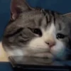 Necessary GIFs 25