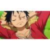 OnePiece2 17