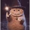 🐱 Cheeseball | The Wizard Cat 5