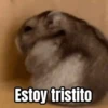🎬 Memes en movimiento 😂 9