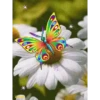 MARIPOSAS ANIMADAS 14
