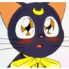 Cat anime 28