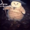 🐱 Cheeseball | The Wizard Cat 16