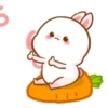 Molly Rabbit - Cutie 10 15