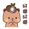 Bubuyier 27