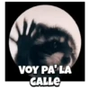 🎶Pedro, Pedro🦝Mapache🎶 12