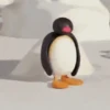 Pingu 11