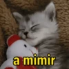 Reações de gatíneos 🐈🐈‍⬛ 15