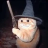 🐱 Cheeseball | The Wizard Cat 17