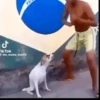 CATIORO 13