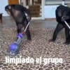 Monky amigos oficial 🐵 28